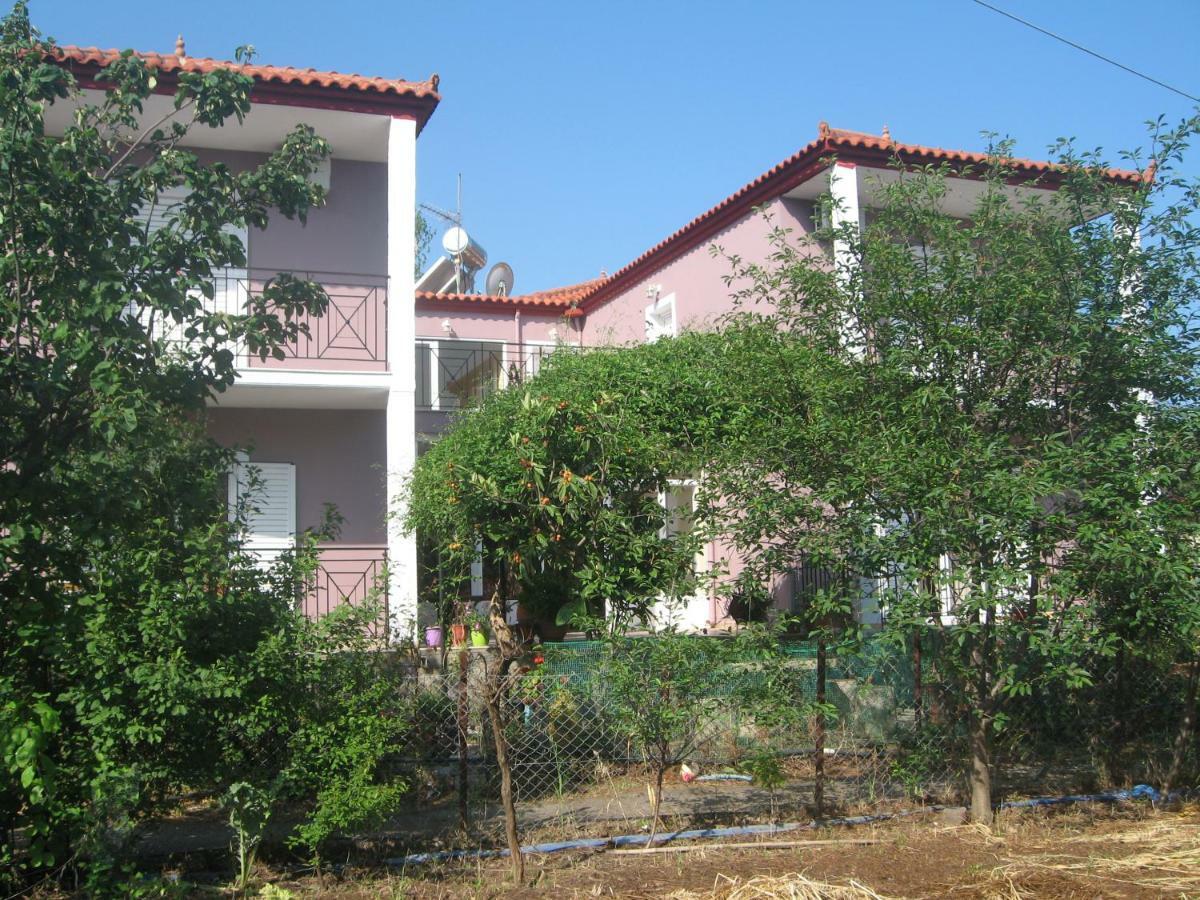 Apartment Summer Dream