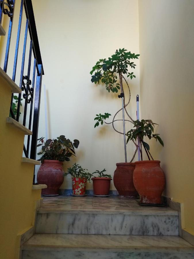 Apartment Summer Dream *