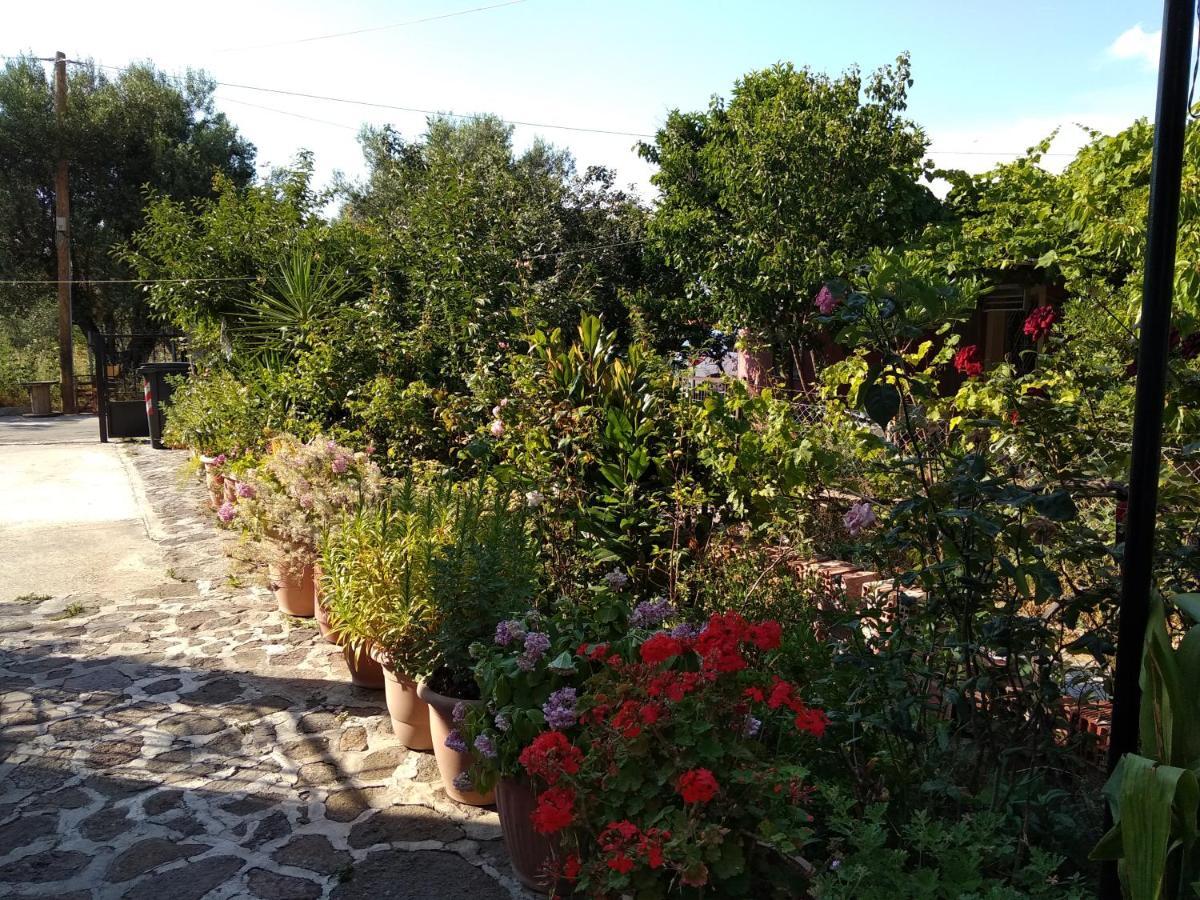 Apartmán Summer Dream